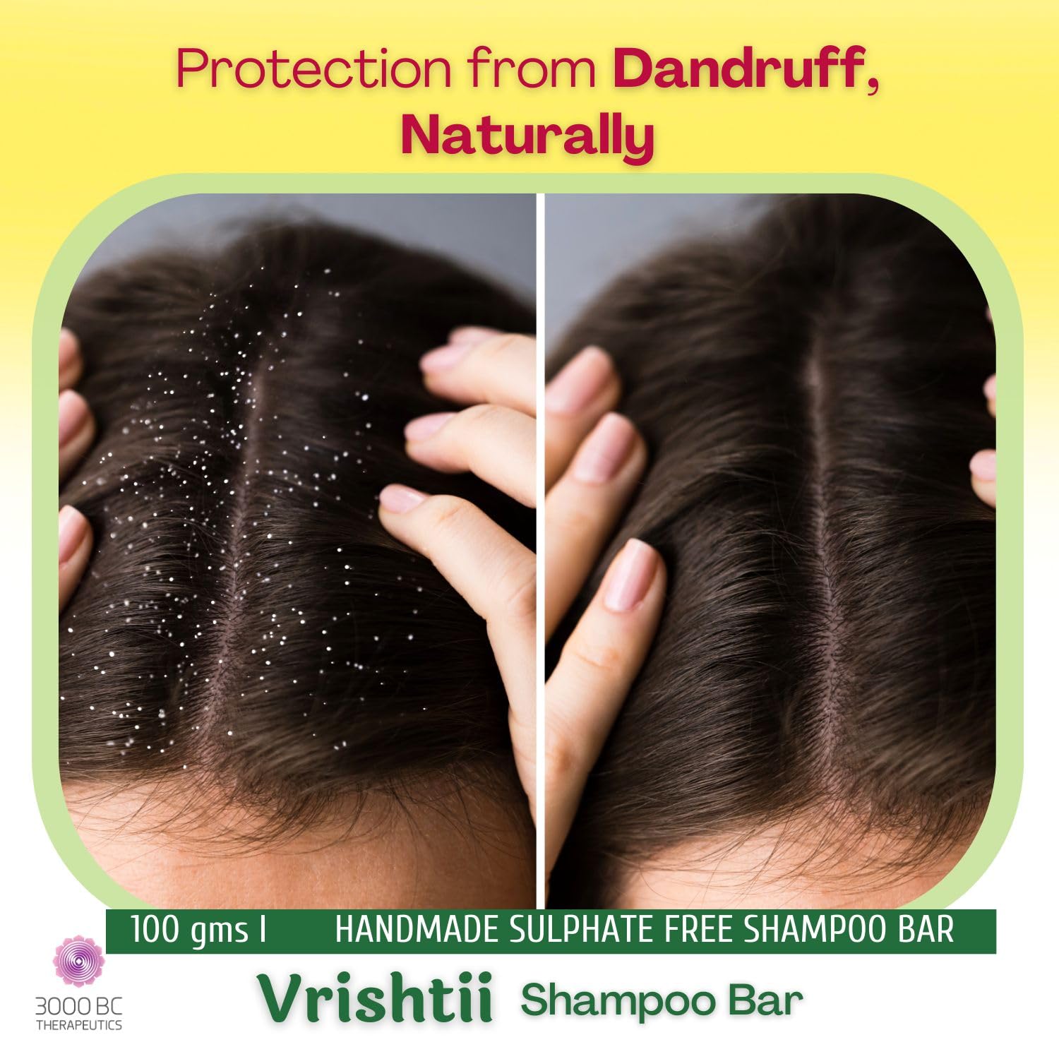 Vrishtii: Clean, Nurture, Nourish | Dandruff, Hair Fall & Scalp Health  |Sulfate-Free Ayurvedic Shampoo Bar  | 100g