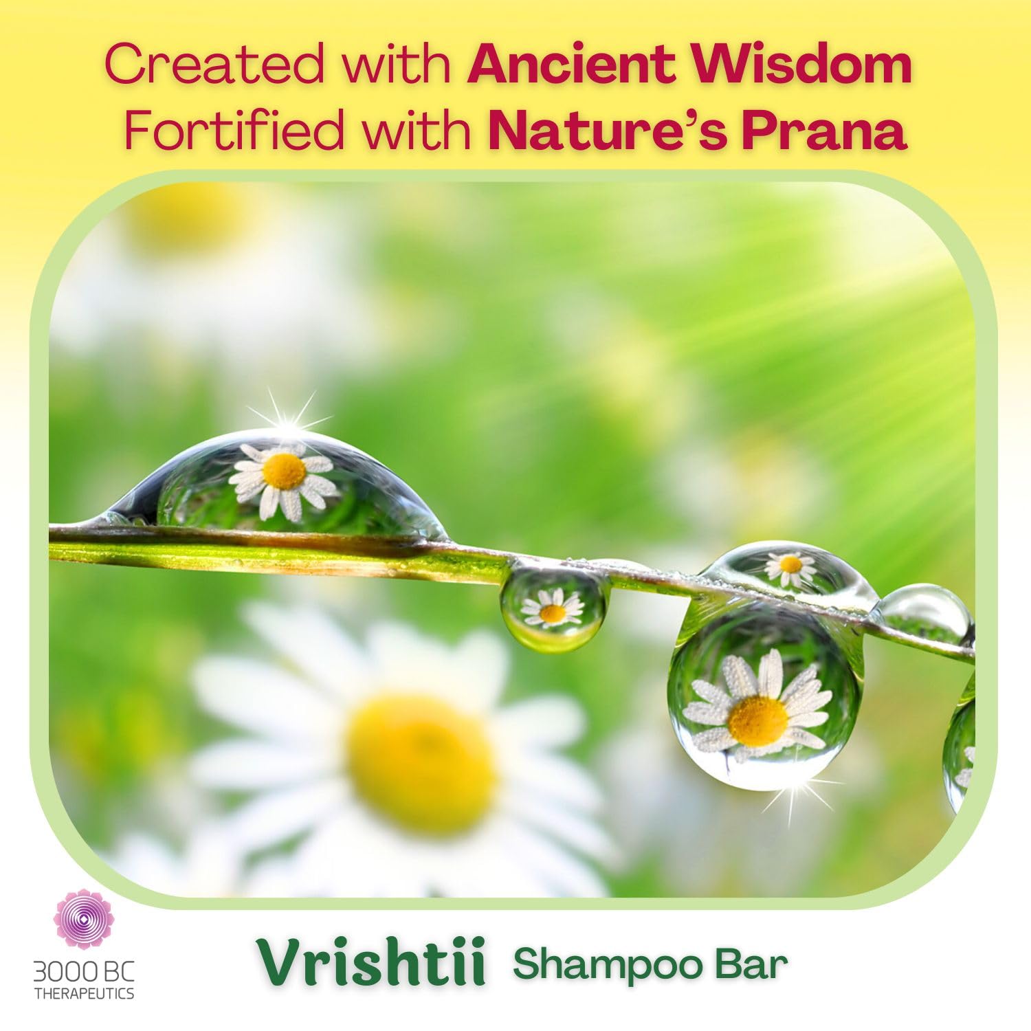 Vrishtii: Clean, Nurture, Nourish | Dandruff, Hair Fall & Scalp Health  |Sulfate-Free Ayurvedic Shampoo Bar  | 100g