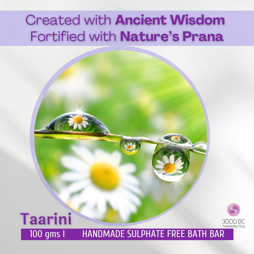 Taarini: Daily Cleansing, Anti-Aging & Skin Nourishment | Sulfate-Free Ayurvedic Soap Bar | 100g
