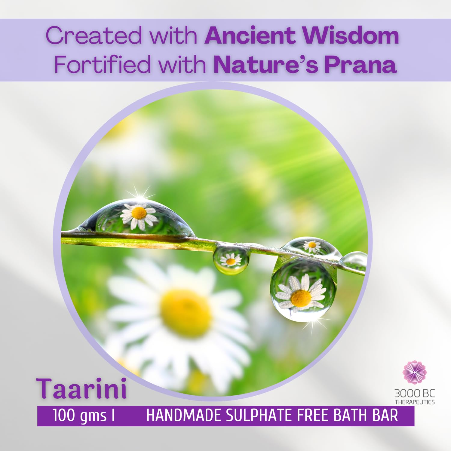 Taarini: Daily Cleansing, Anti-Aging & Skin Nourishment | Sulfate-Free Ayurvedic Soap Bar | 100g