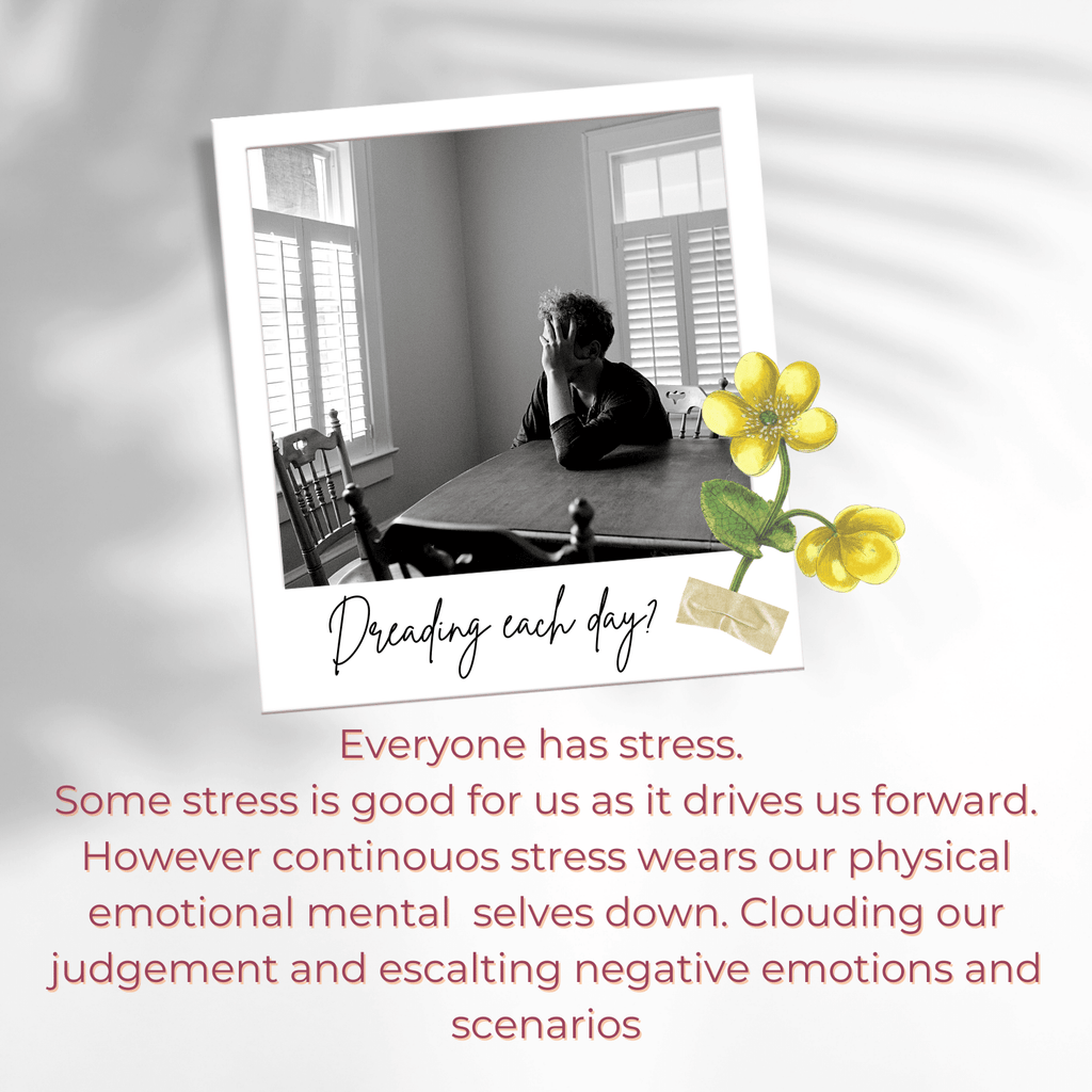 Calm: The Anti-Anxiety Roll On | Lavender, Bergamot & Geranium | 9ml