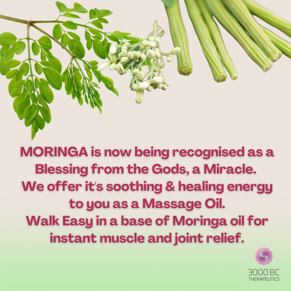 Pain Free Bundle: All Purpose, Walk Easy, Walk Easy with Moringa