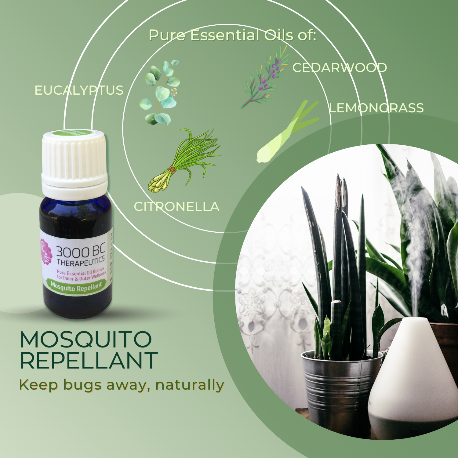 Mosquito Repellent: Protection from Mosquitoes and Insects
