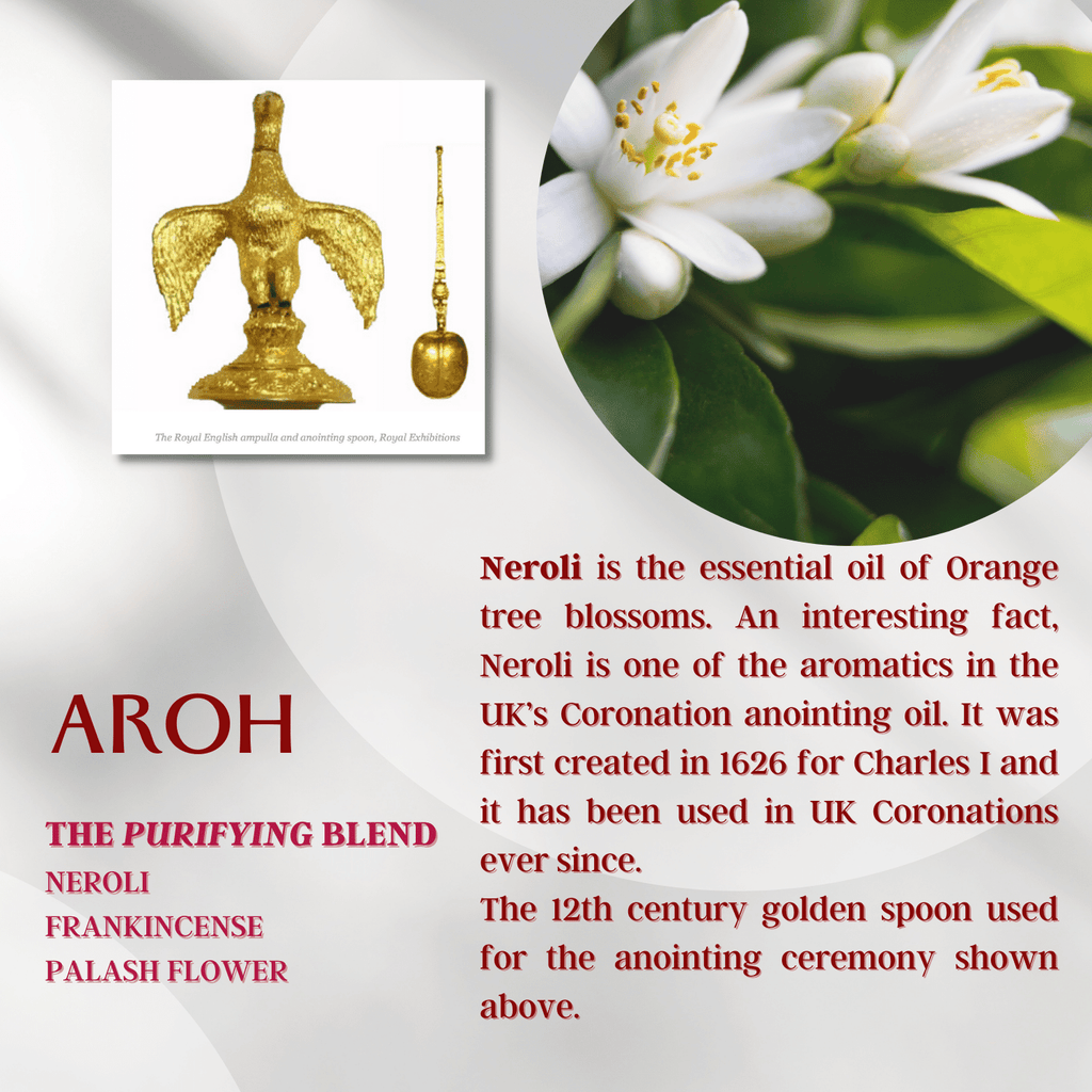Aroh: Ascend...Be More.