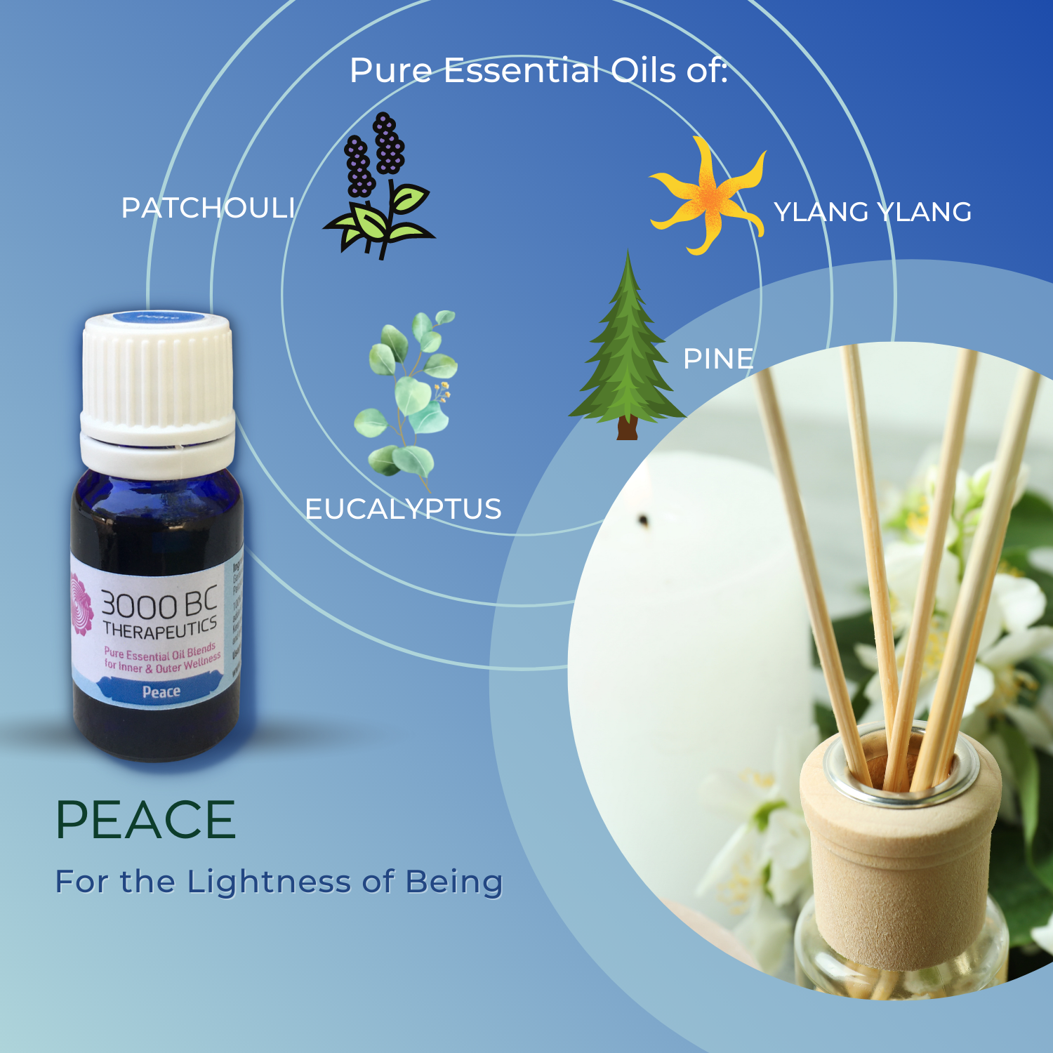 Peace: Unwind, Enjoy Peace of Mind