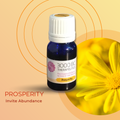 Prosperity: Invite Abundance