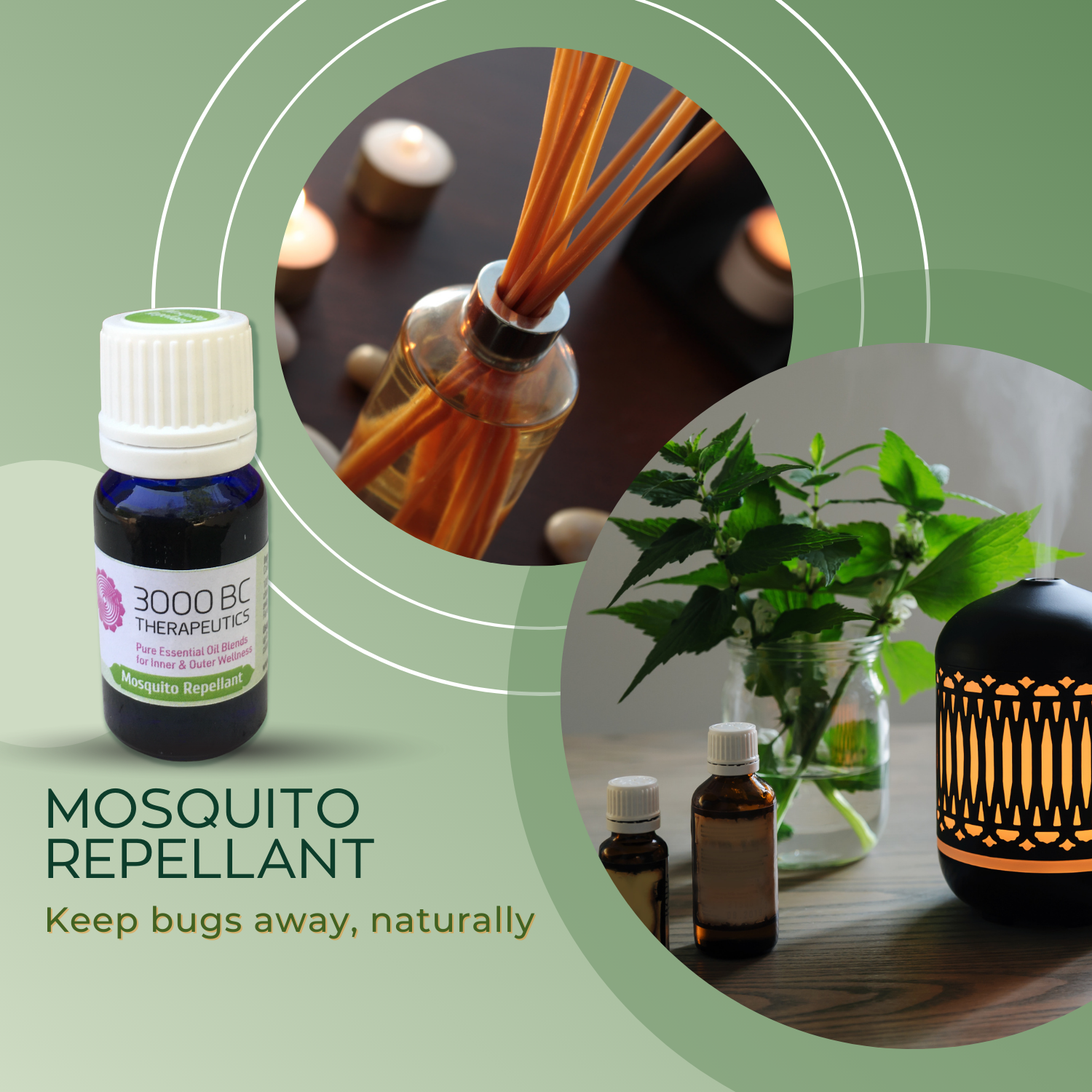 Mosquito Repellent: Protection from Mosquitoes and Insects