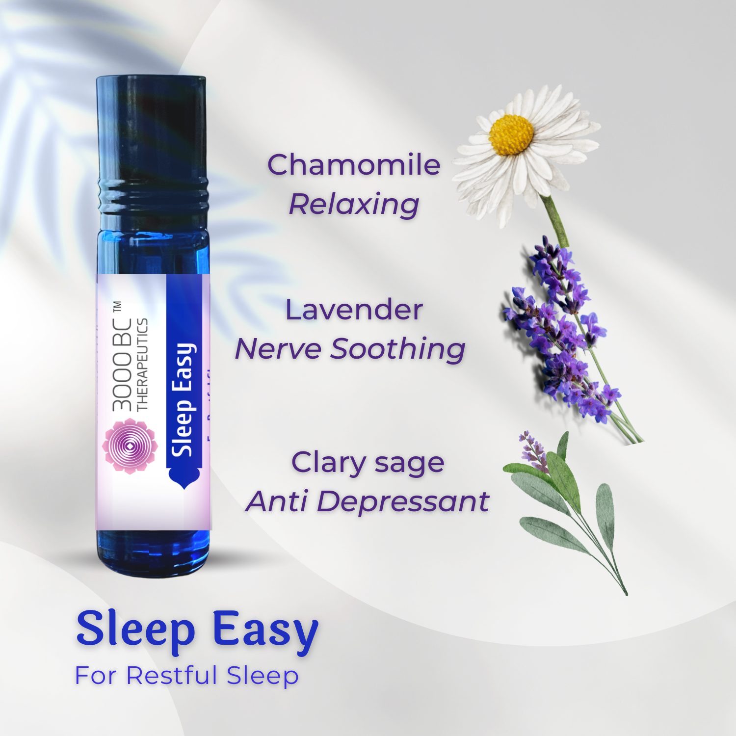 Sleep Easy: Wake Up Energised