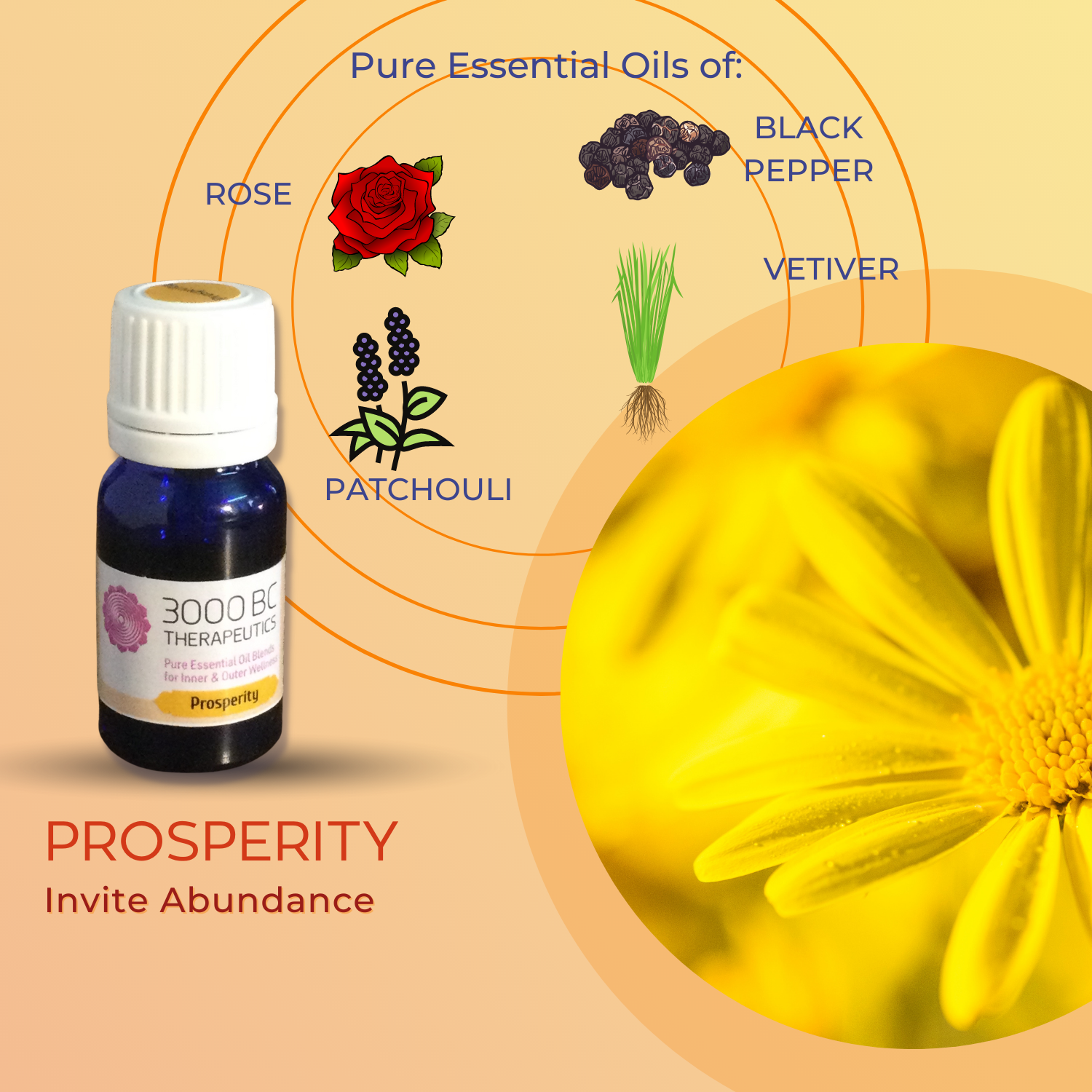Prosperity: Invite Abundance