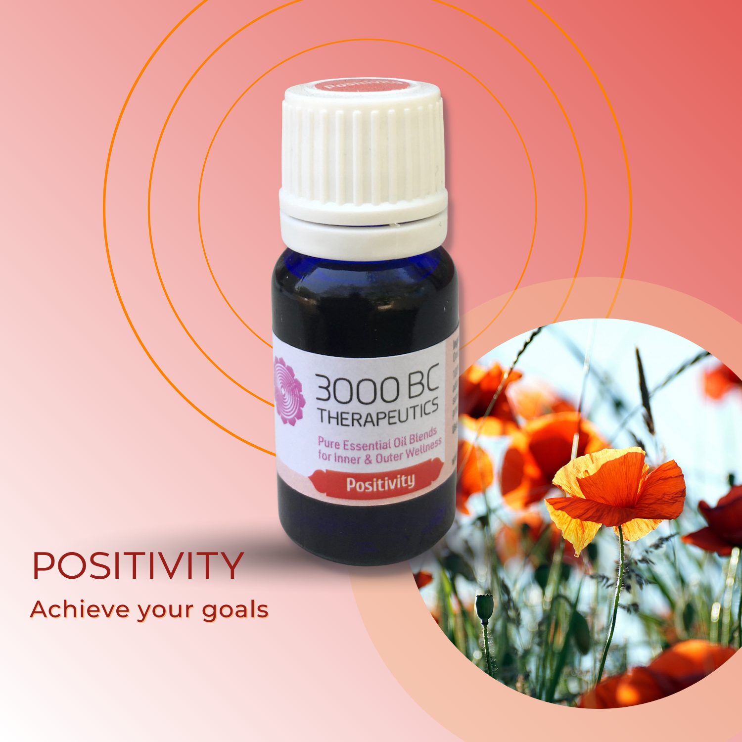 Positivity: Achieve Your Goals
